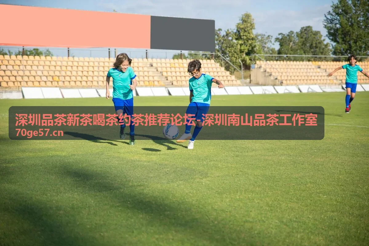 深圳品茶新茶喝茶约茶推荐论坛-深圳南山品茶工作室新茶品鉴活动
